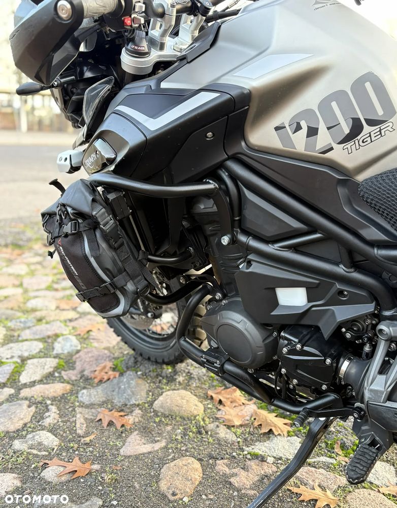 Triumph Tiger - 5
