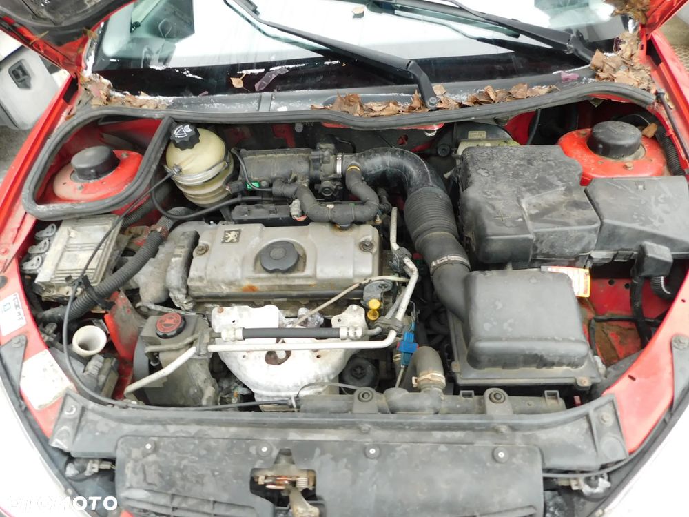 Peugeot 206 - 12