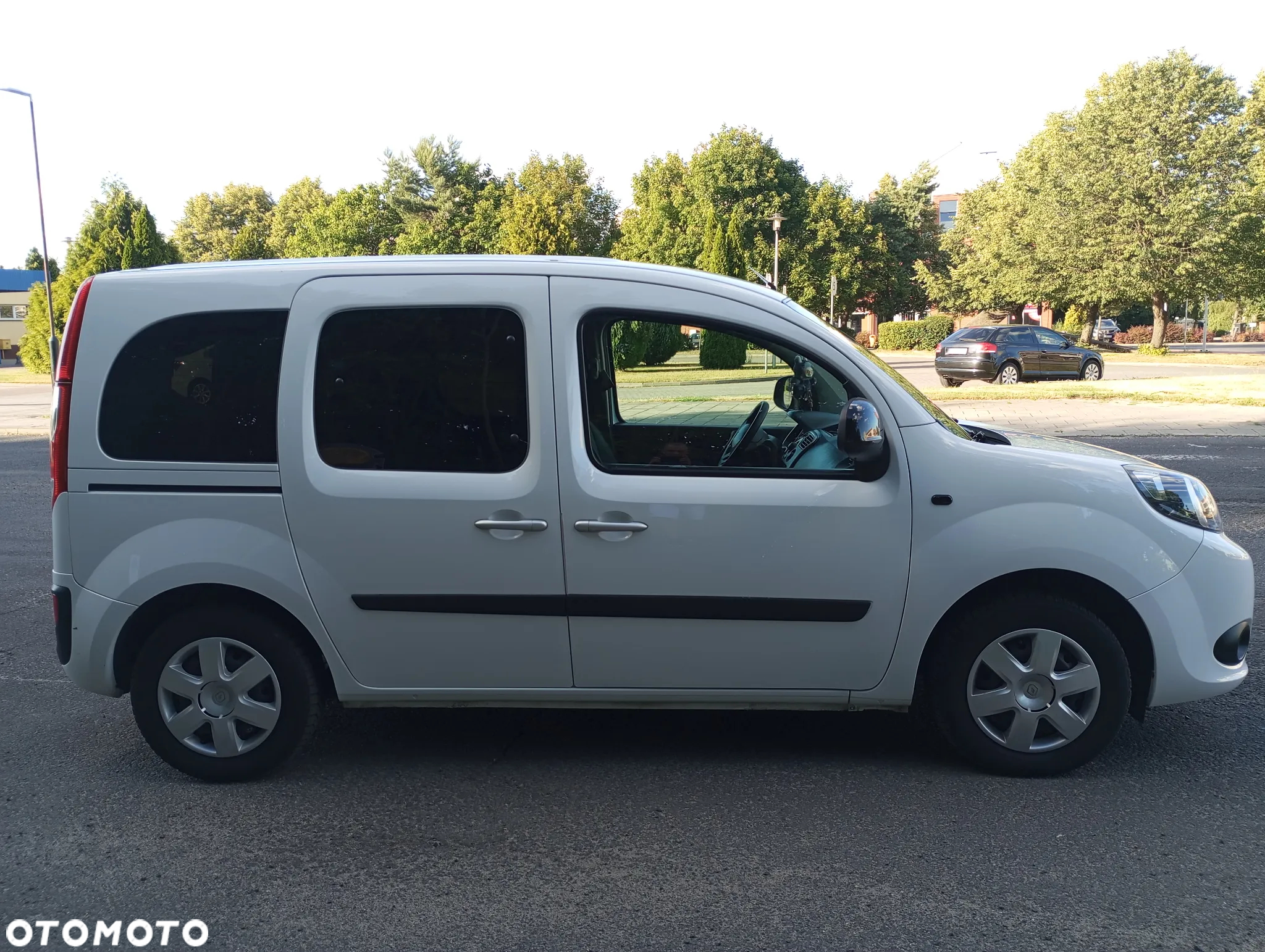 Renault Kangoo - 29