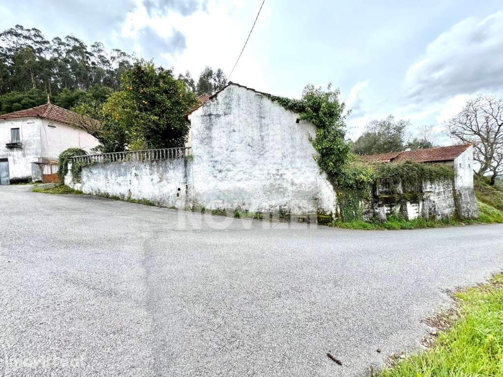 Moradia Isolada T3 e anexos com 485m2 de terreno urbano. - Grande imagem: 3/23