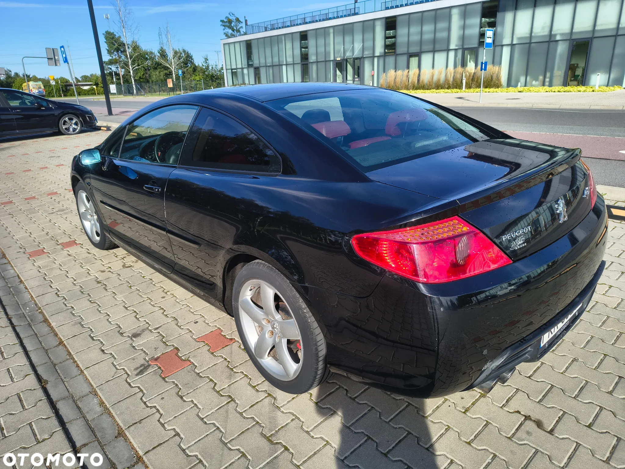 Peugeot 407 - 8