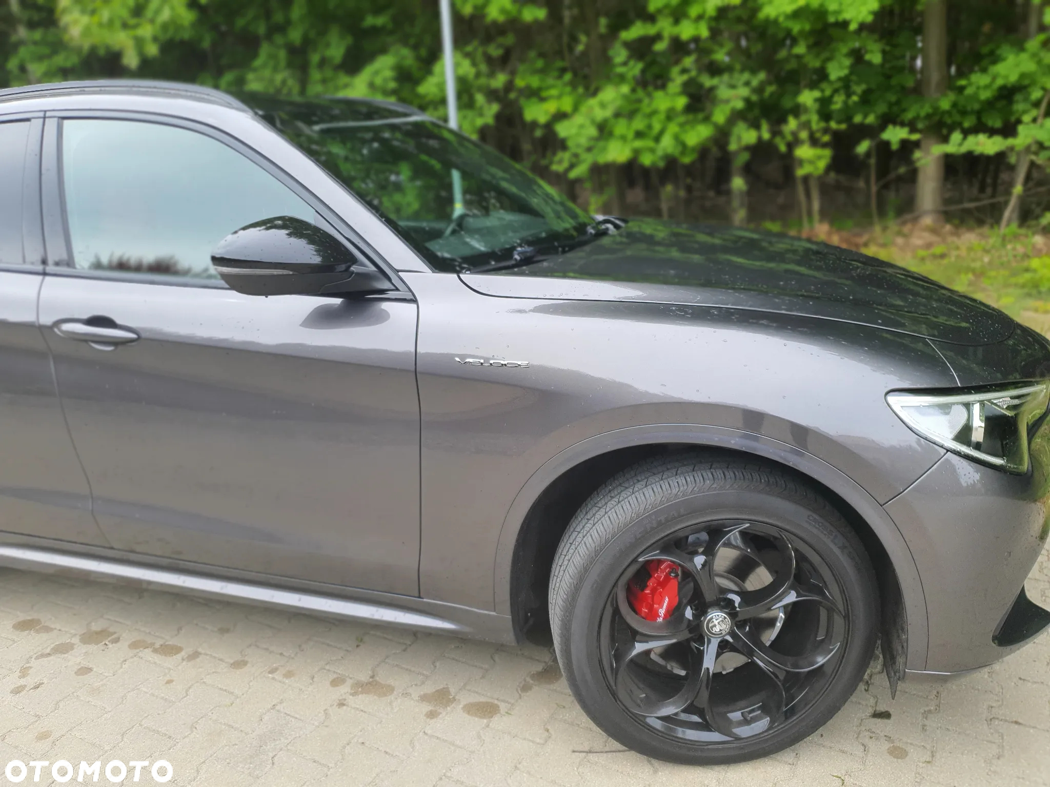 Alfa Romeo Stelvio 2.0 Turbo 16V AT8-Q4 Veloce - 17