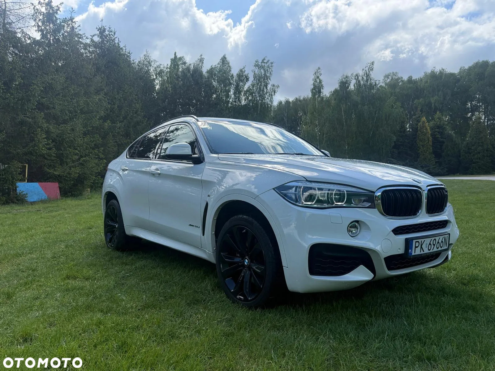 BMW X6 xDrive40d - 2