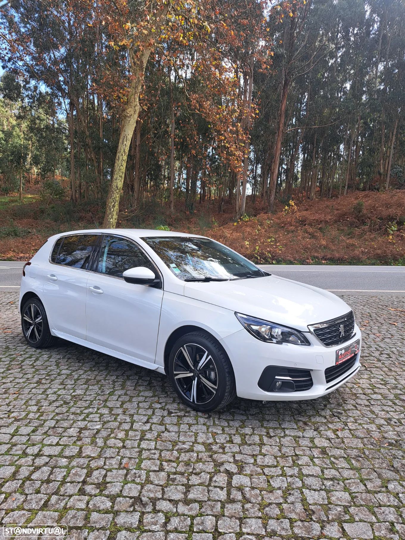 Peugeot 308 1.6 BlueHDi GT Line - 1