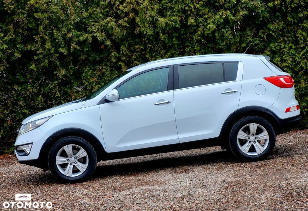 Kia Sportage - 21