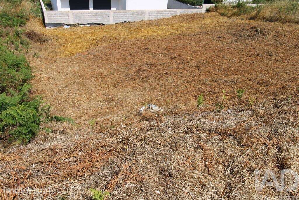 Terreno para construção em Ruivães e Novais - Grande imagem: 4/11