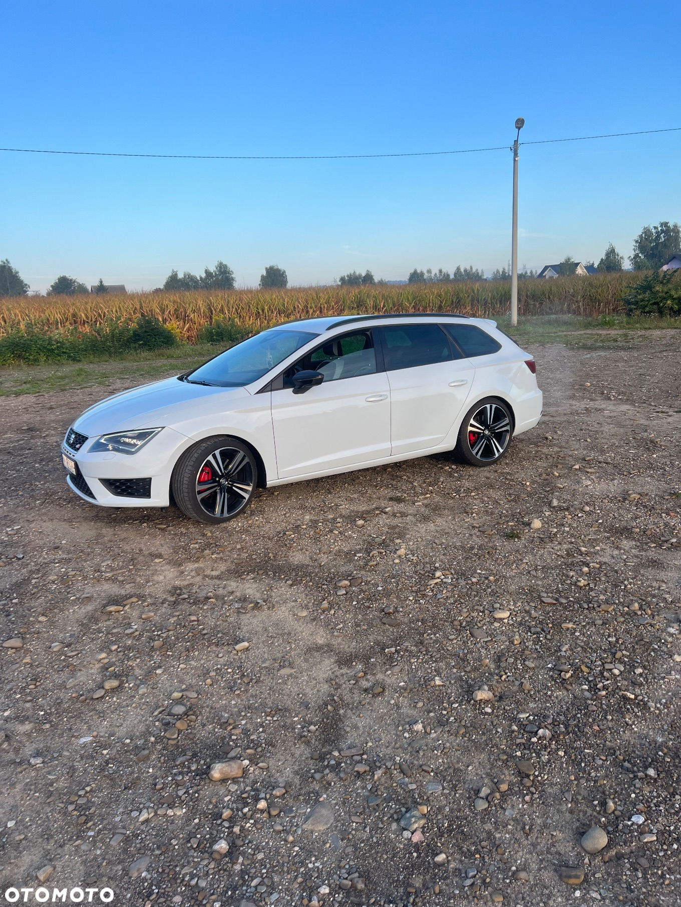 Seat Leon 2.0 TSI Cupra 290 S&S DSG - 2