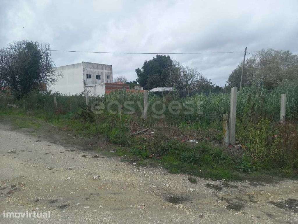 Terreno Misto - Marinha Grande - com Capacidade Construtiva - Grande imagem: 3/10