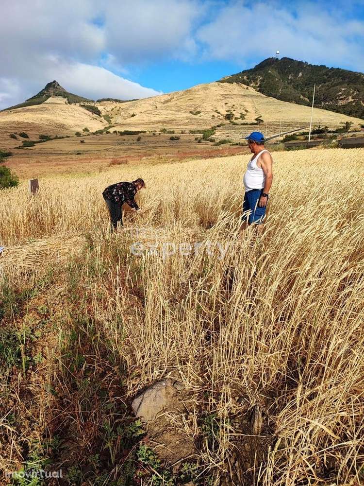 Terreno no Porto Santo com 4160m2 - Grande imagem: 3/7