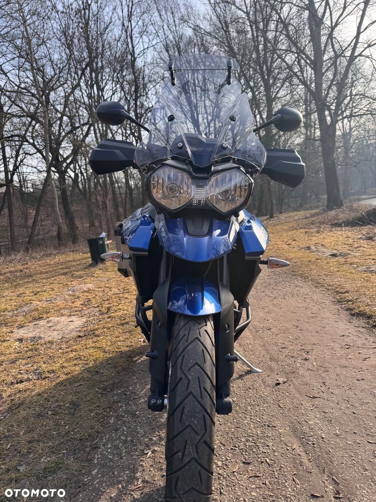 Triumph Tiger - 13