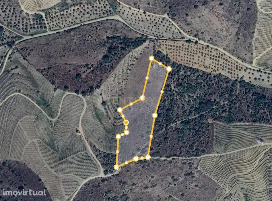 Terreno Rústico em Vila Nova de Foz Côa - Grande imagem: 2/4