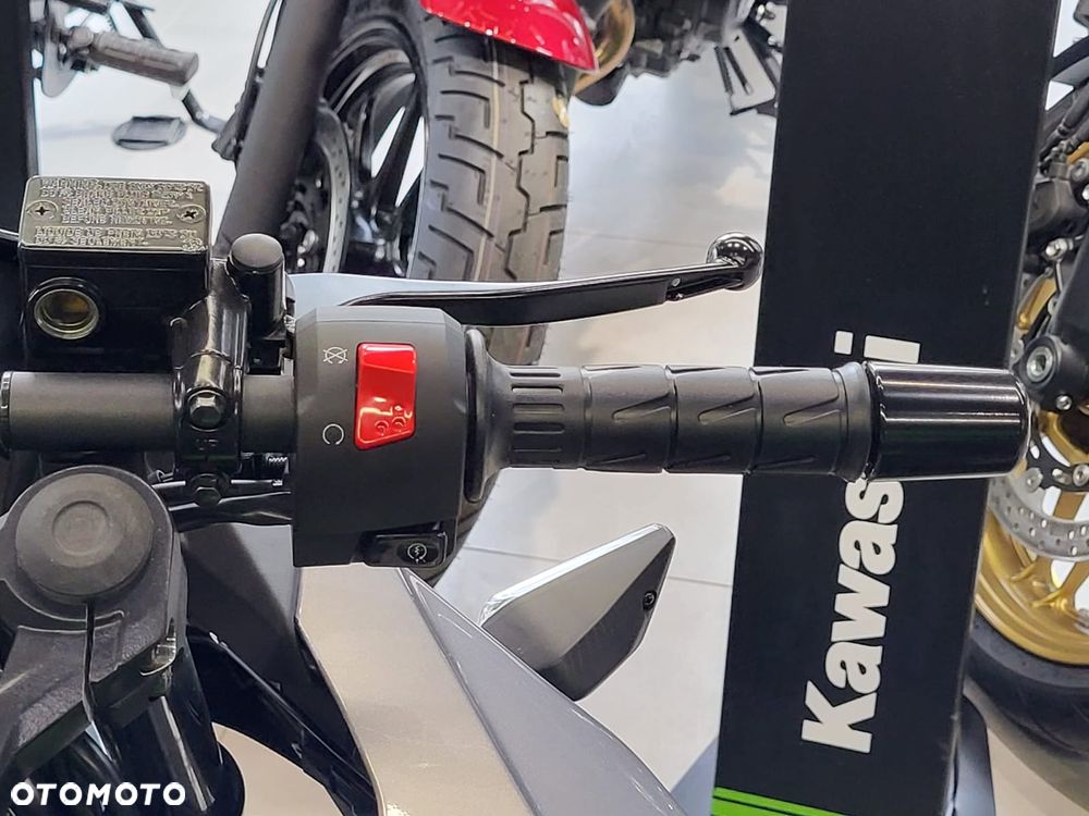Kawasaki Ninja - 10