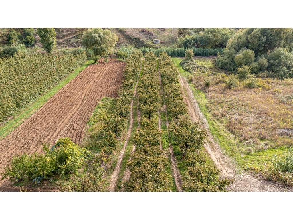 Terreno Rústico ' Franca' - Grande imagem: 3/7
