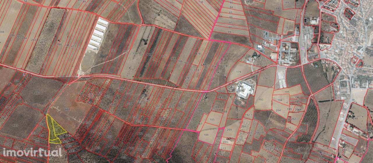 SOUSEL I terreno agrícola - Grande imagem: 5/6