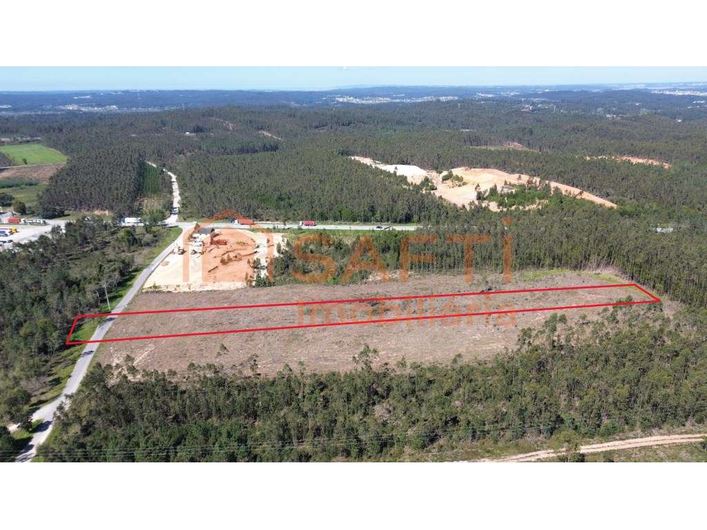 Terreno Rústico com 1 Hectare à Venda no Relvão, Redinha - Pombal - Grande imagem: 2/13