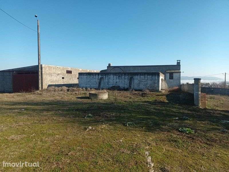 Quinta no Douro superior - Grande imagem: 3/12