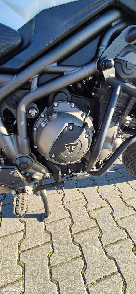 Triumph Tiger - 13