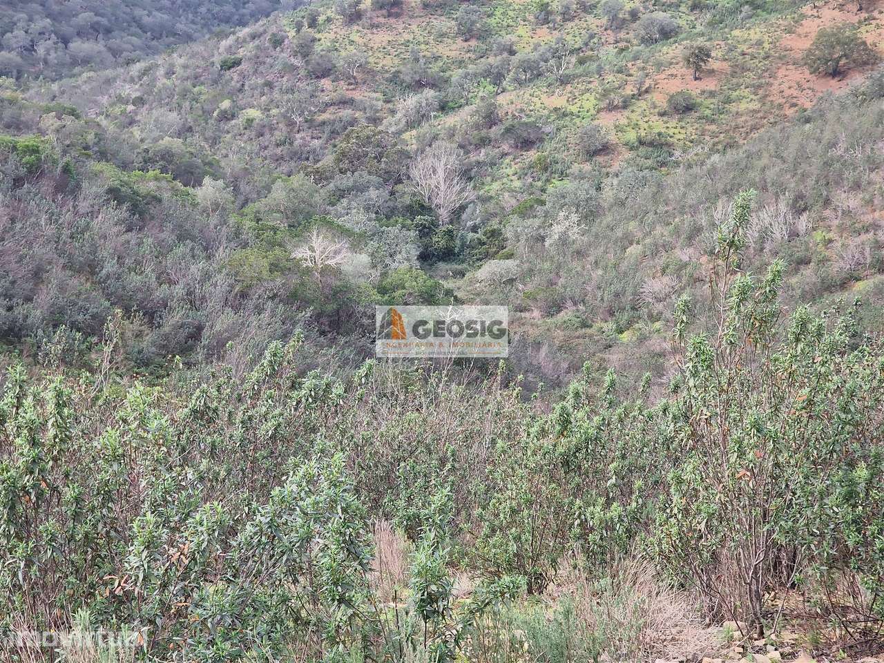 Terreno Rústico  Venda em Santana da Serra,Ourique - Grande imagem: 3/8