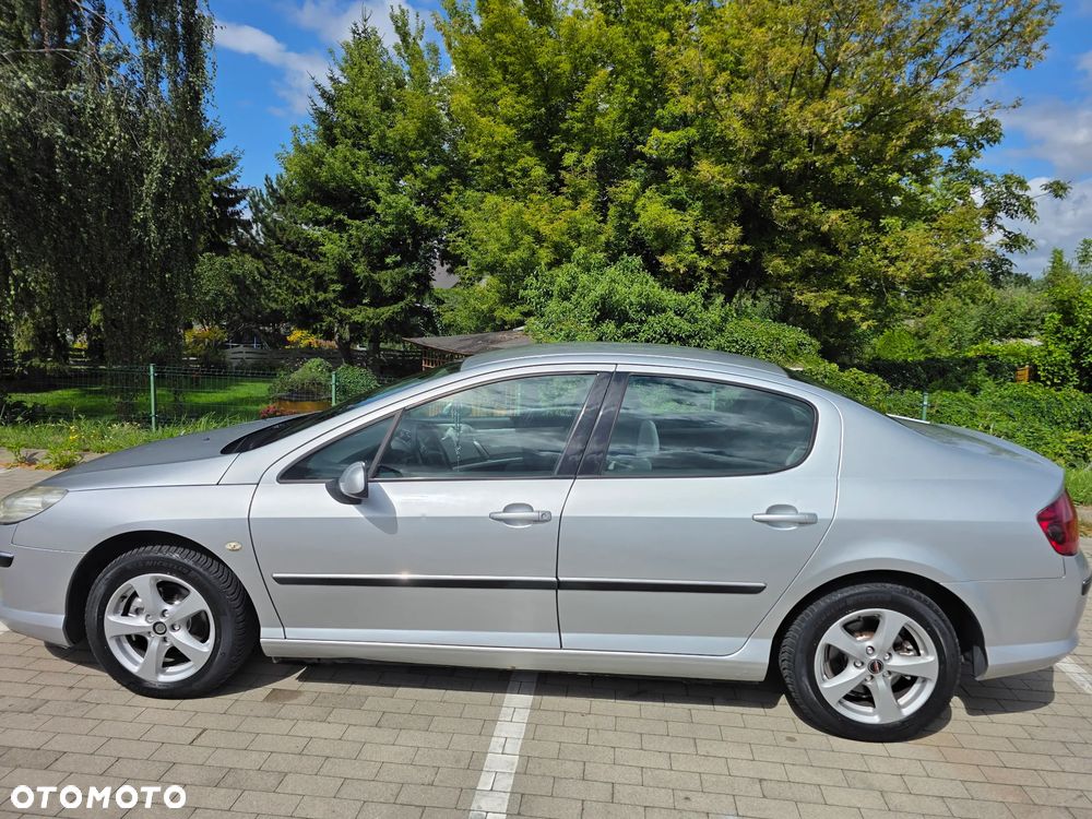 Peugeot 407 - 21