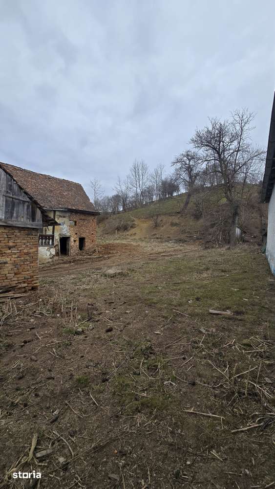 Teren intravilan în Zlagna - jud. Sibiu - Imagine principală: 5/7