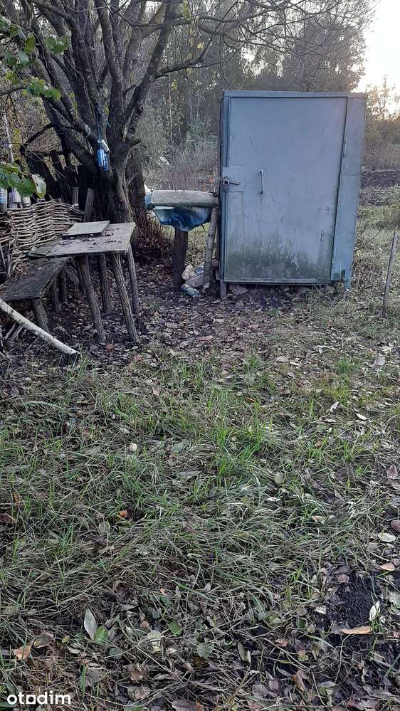 Дві доглянуті земельні ділянки для сільського господарства без комісії - Повне зображення: 3/10
