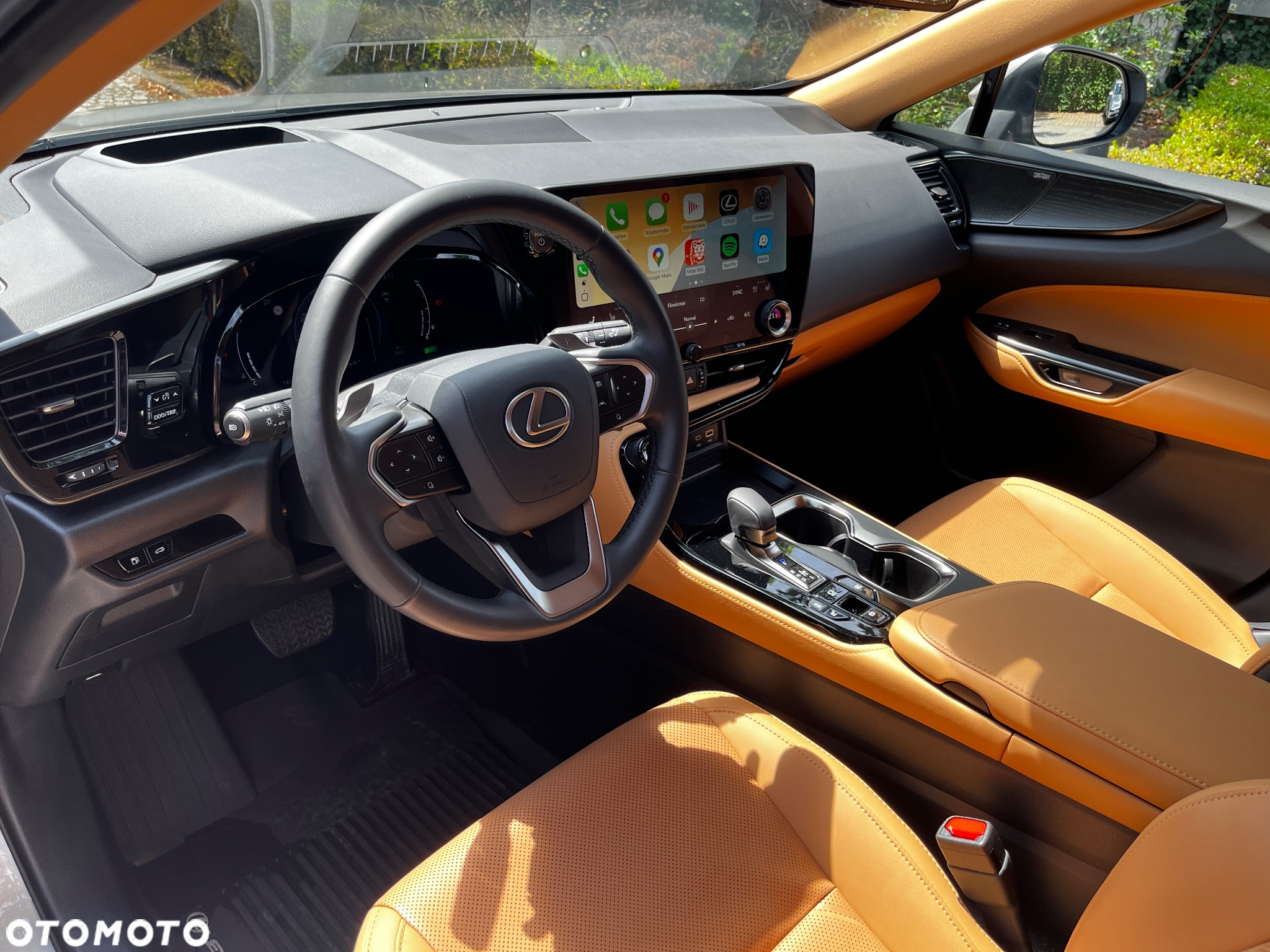 Lexus NX 350h Omotenashi AWD - 14