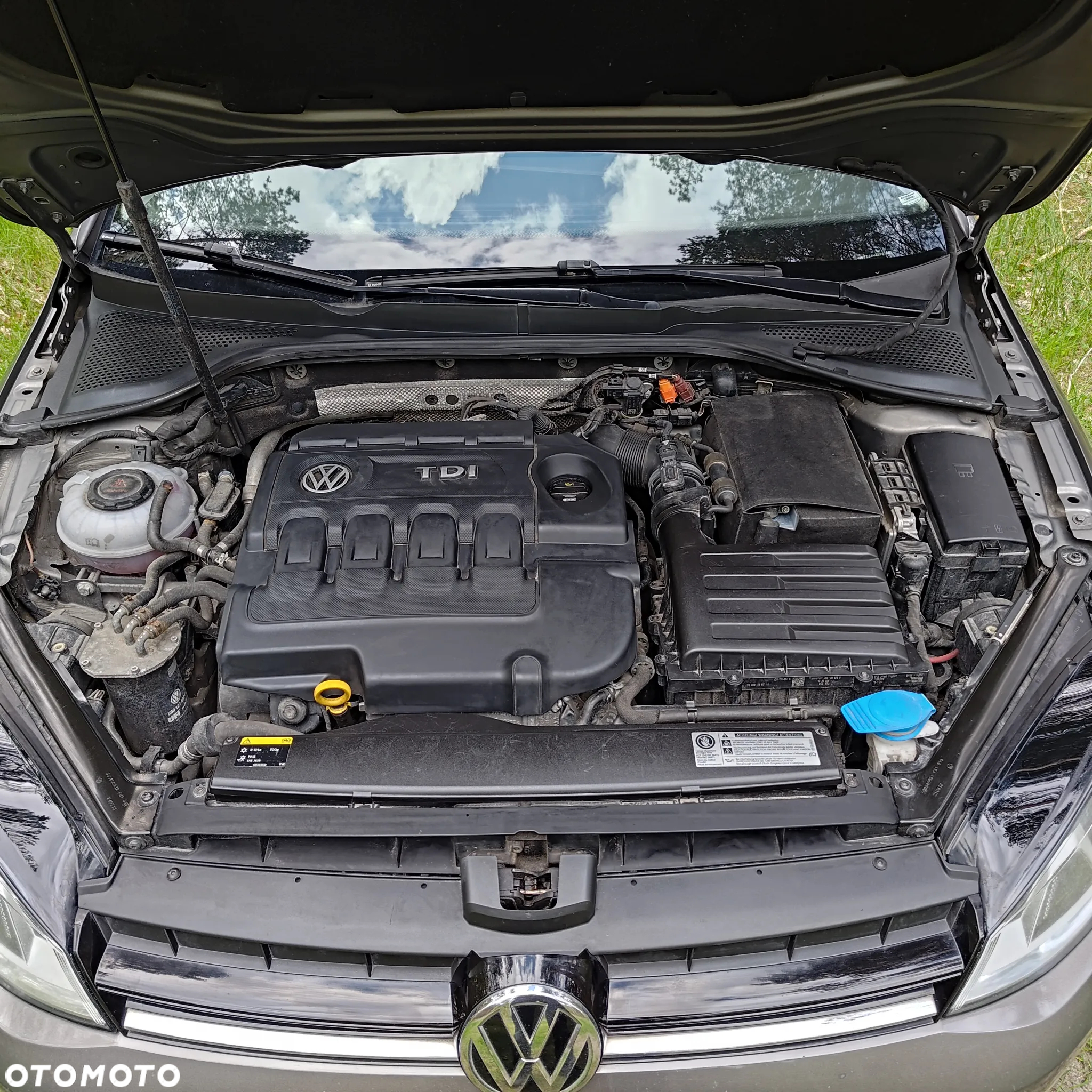 Volkswagen Golf - 16