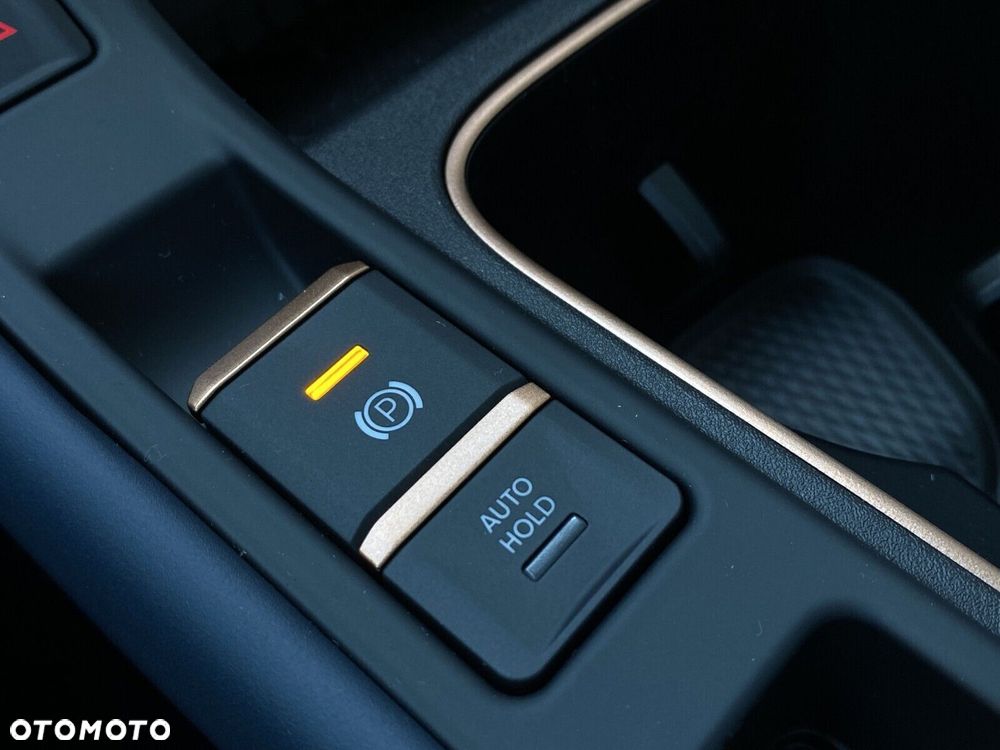 Cupra Terramar 2.0 TSI 4Drive VZ DSG - 22