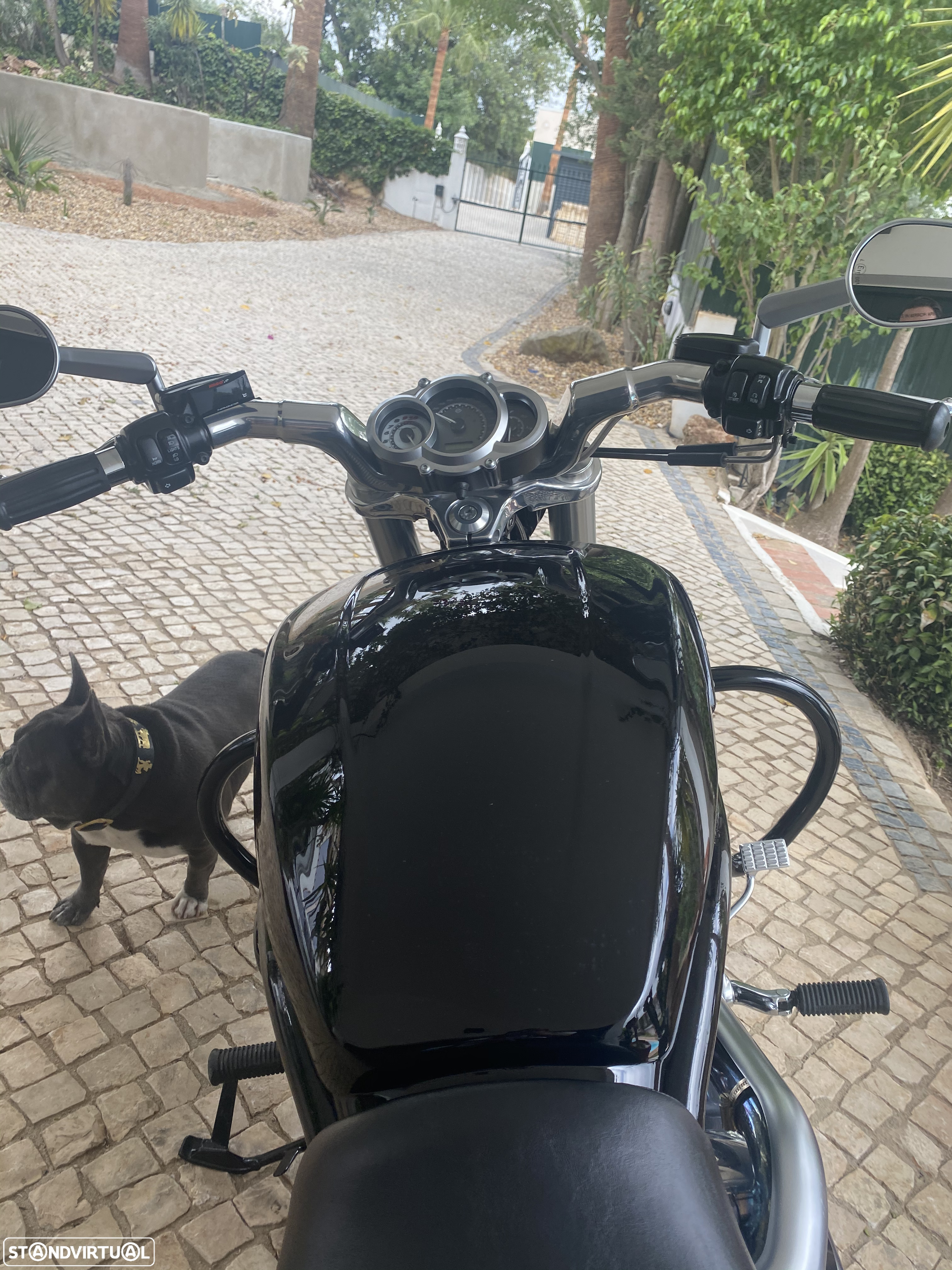 Harley-Davidson VRSCF V Rod Muscle - 7