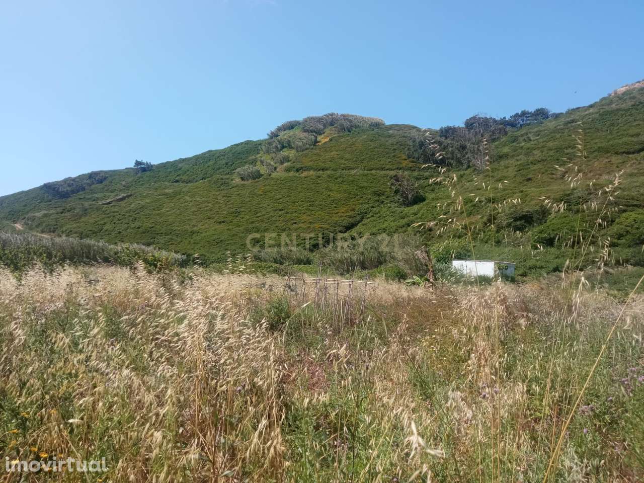 Terreno em Sintra, Perto da Praia de São Julião - Grande imagem: 3/15