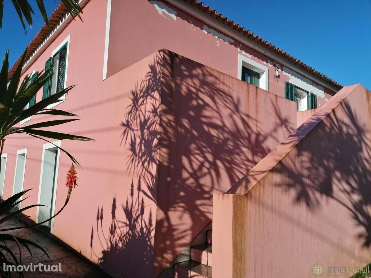 T3 c/Marquise| Flamengos - Grande imagem: 4/43