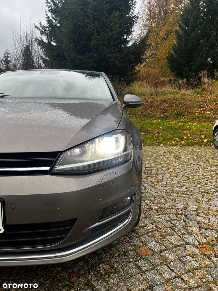 Volkswagen Golf - 8