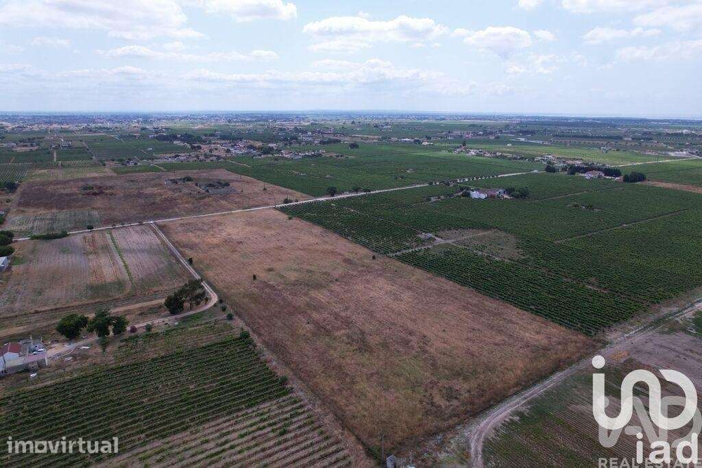 Terreno em Palmela - Grande imagem: 5/26