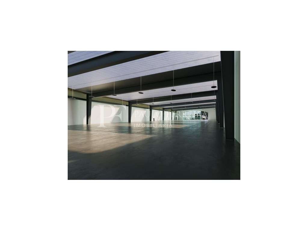 Terreno industrial - Grande imagem: 4/24