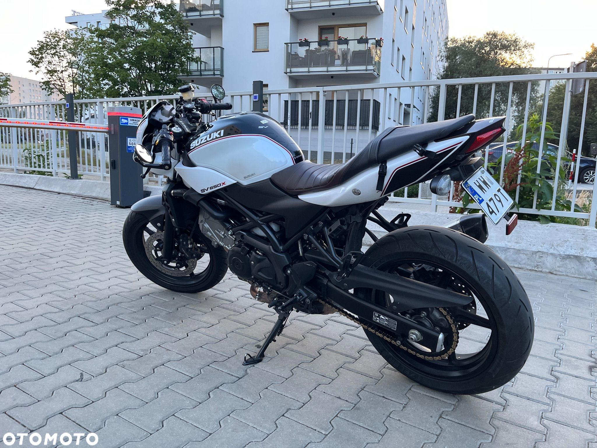 Suzuki SV - 2