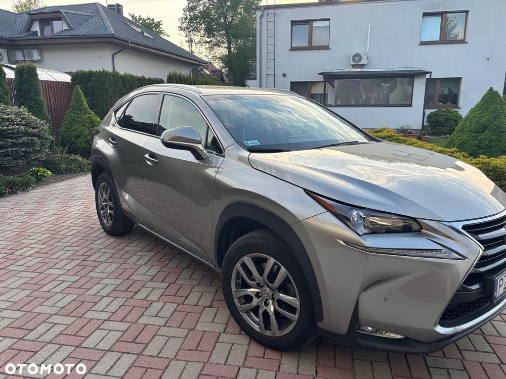 Lexus NX 300h Comfort AWD - 7