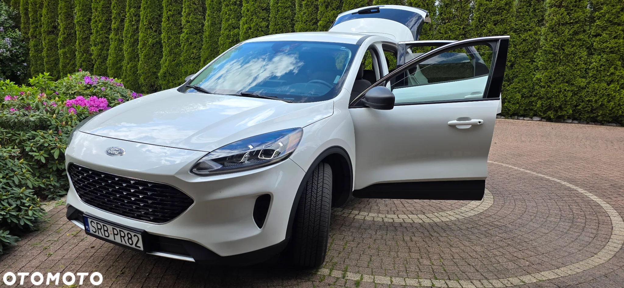 Ford Escape 1.5 EcoBoost AWD SE - 10