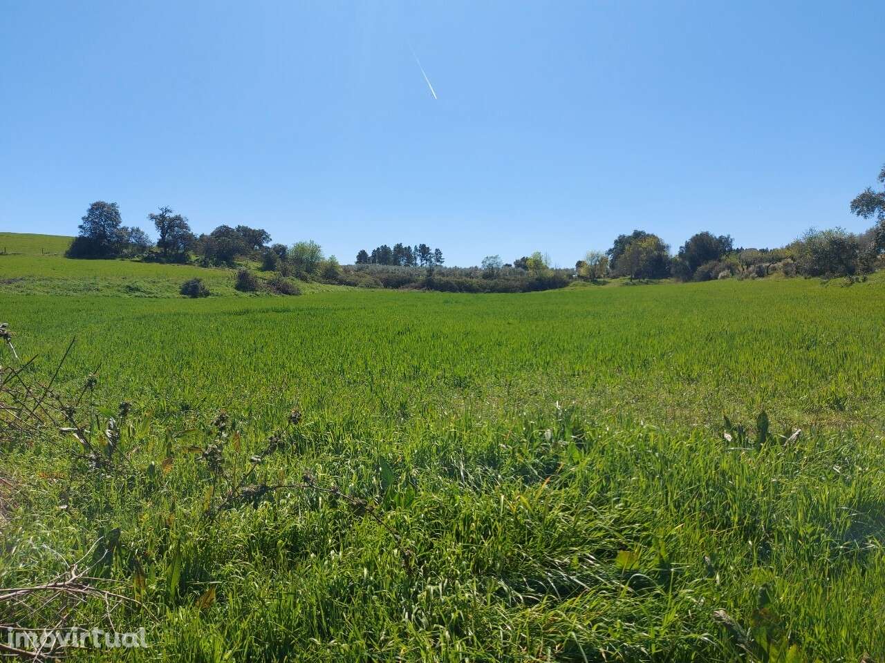 Venda Judicial Terreno Rústico Presa-Covinhas Castro Vicente - Grande imagem: 5/15