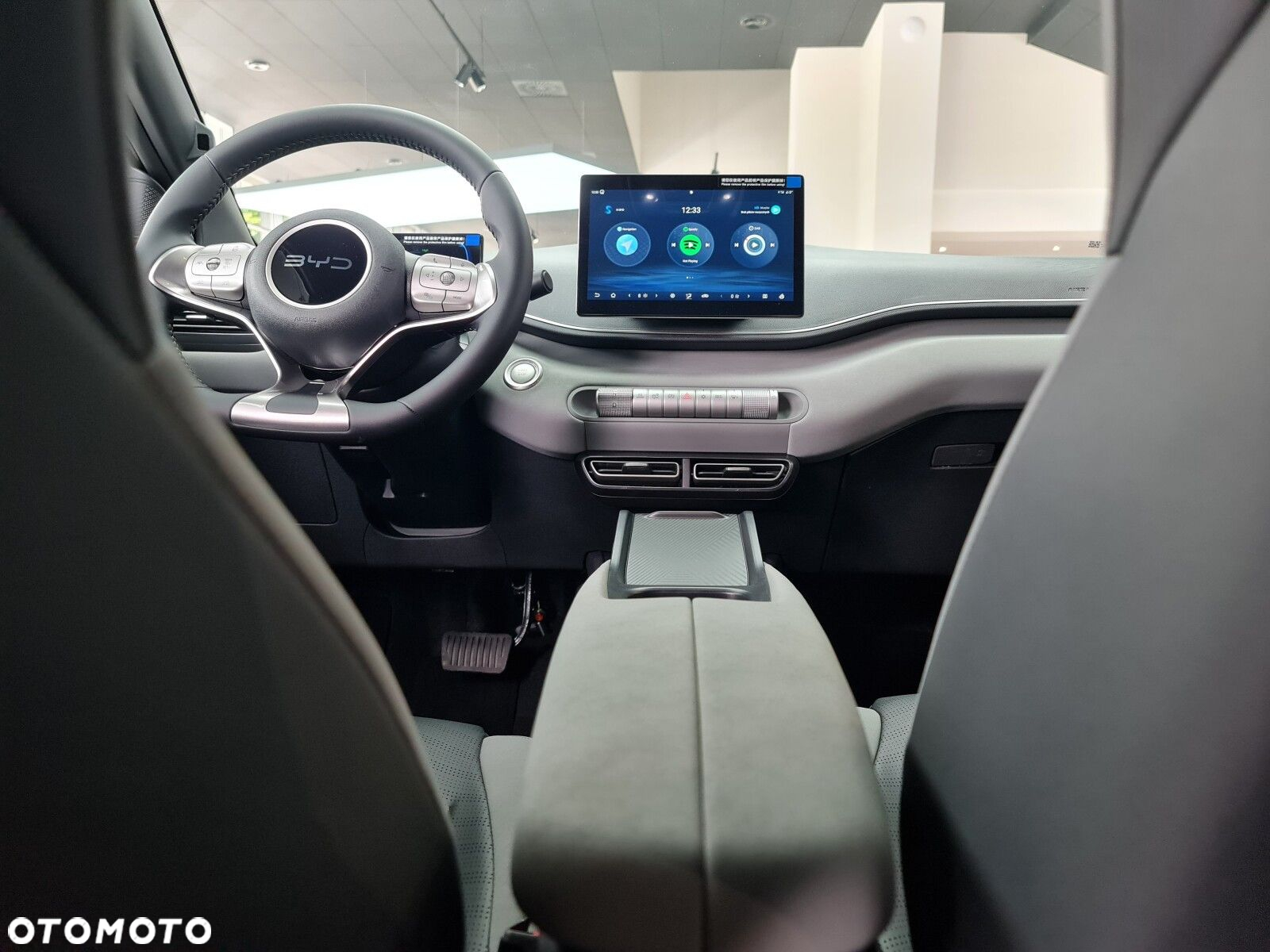 BYD Dolphin Surf - 20