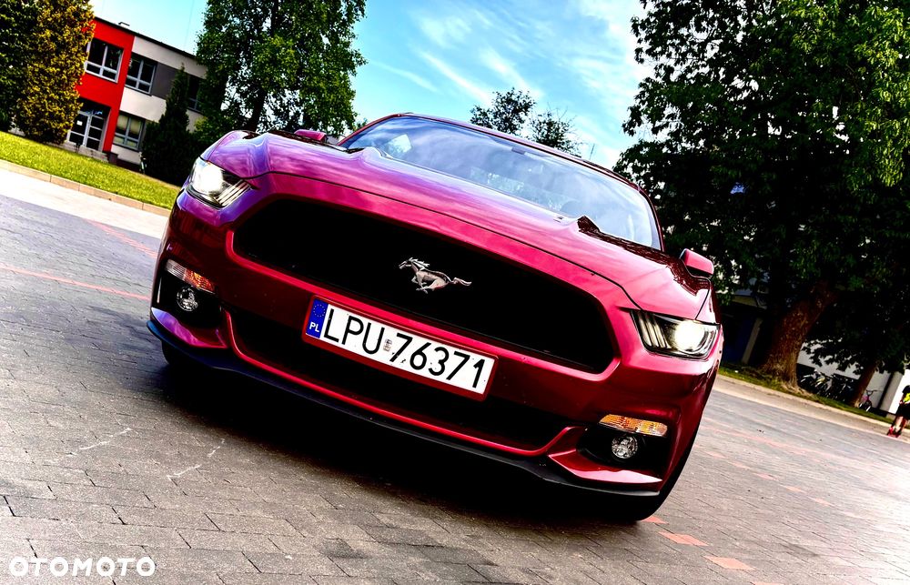 Ford Mustang - 10
