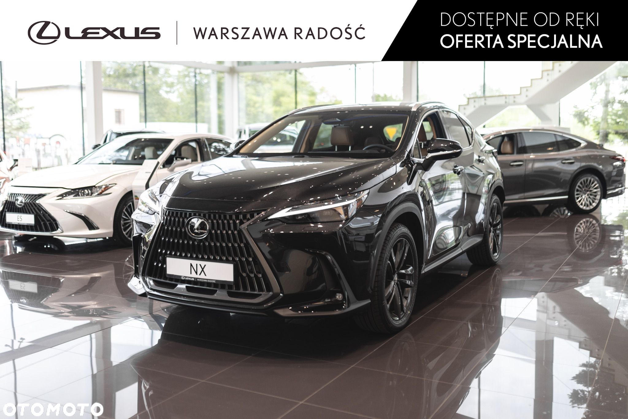 Lexus NX 350h Prestige AWD - 1