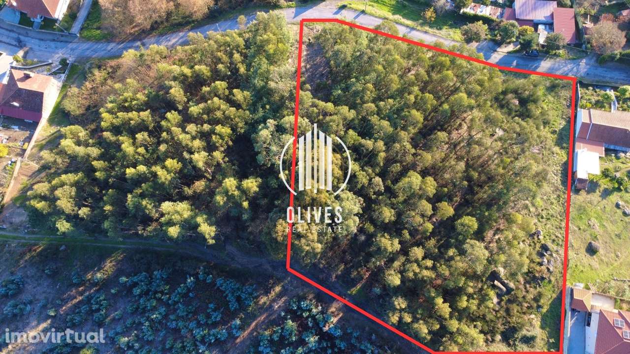 Lote de Terreno  Venda em Airão Santa Maria, Airão São João e Vermil,G - Grande imagem: 3/5