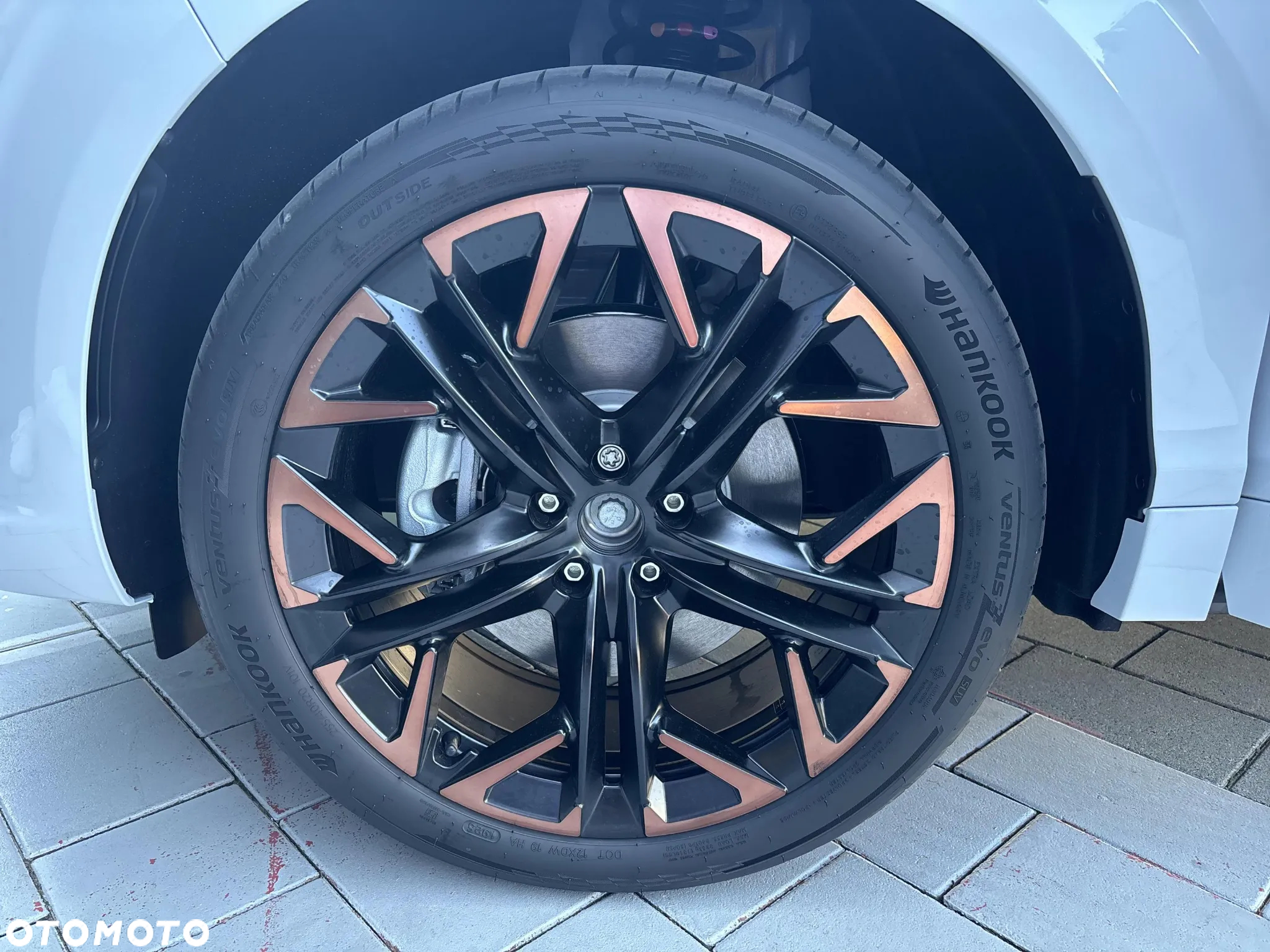 Cupra Terramar 2.0 TSI 4Drive DSG - 11