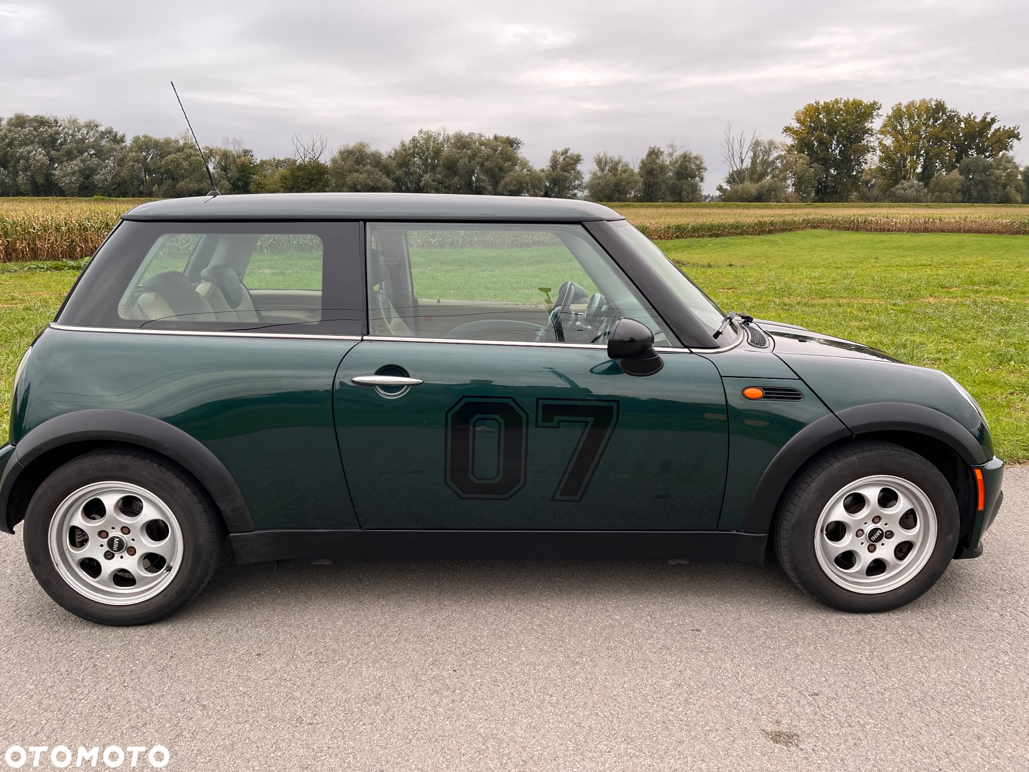 MINI ONE salt - 5