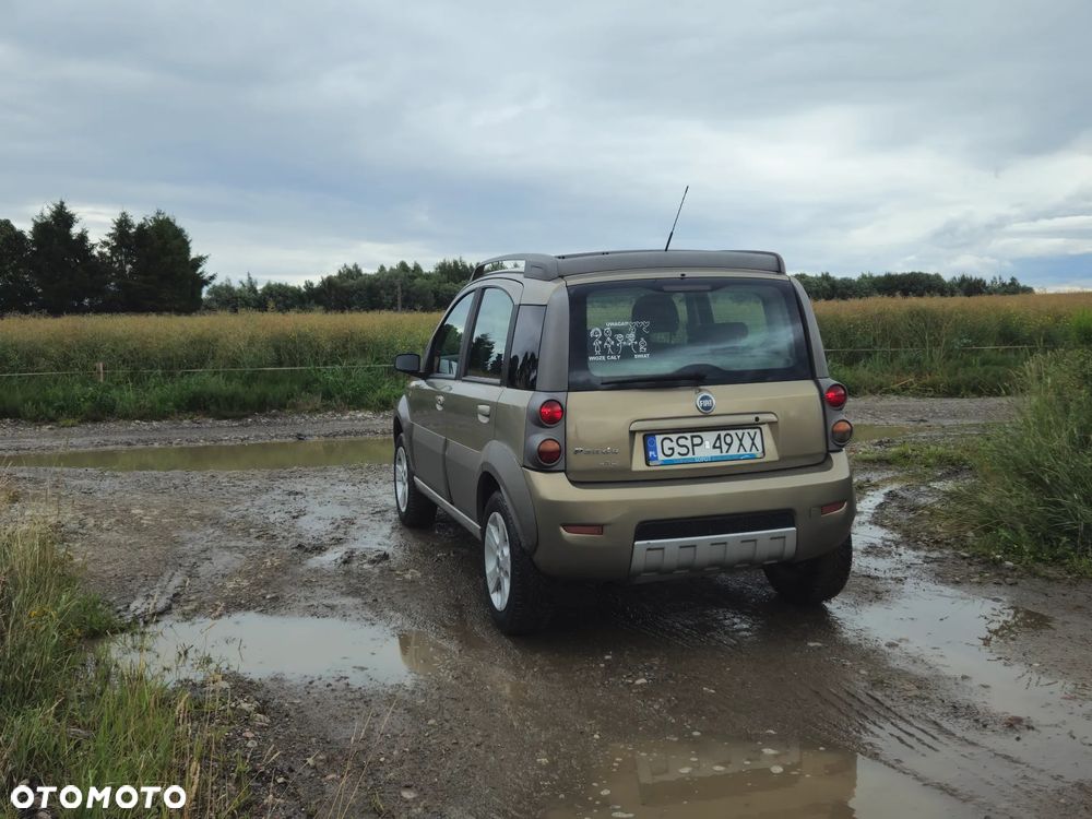 Fiat Panda 1.3 Multijet Cross 4x4 - 16