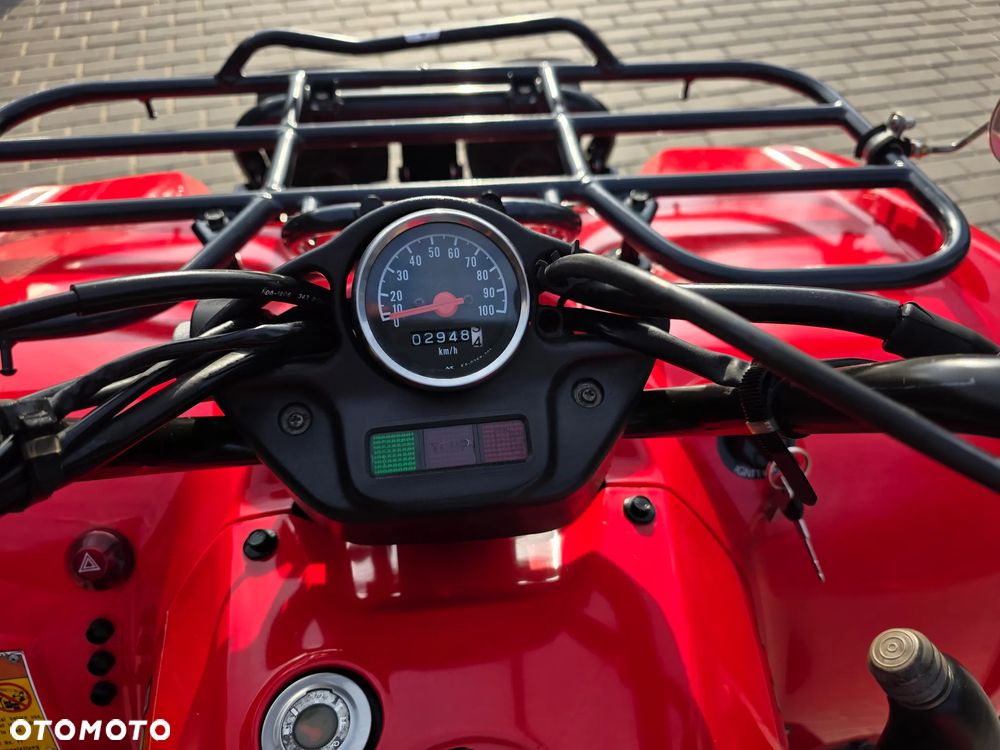 Kawasaki Brute Force - 4