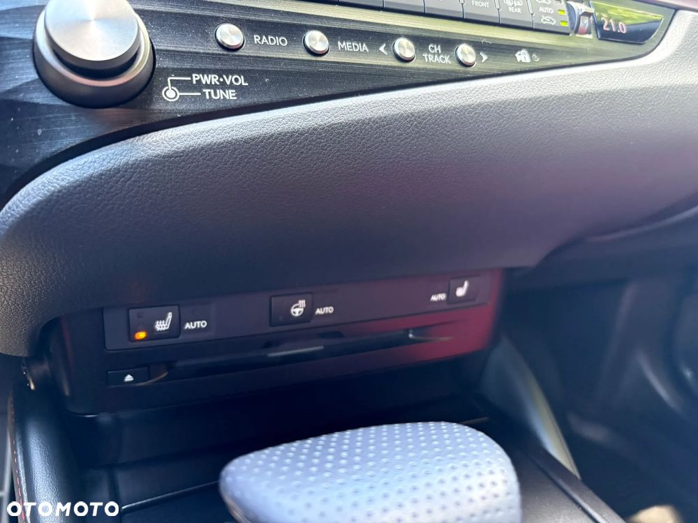 Lexus ES 300h F Sport Edition - 18