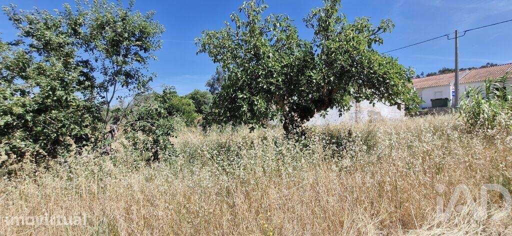 Terreno Agrícola em Fráguas - Grande imagem: 4/26