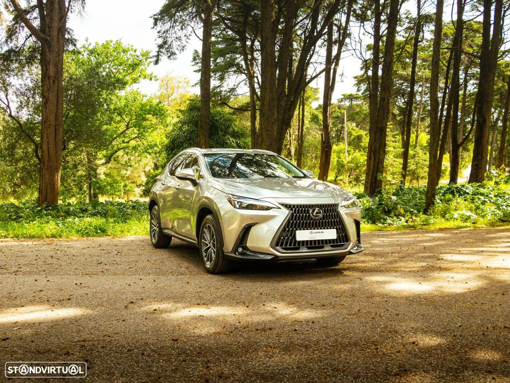 Lexus NX 350h Executive+ - 7