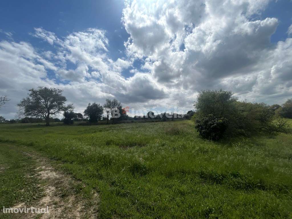 3 Terrenos rústicos com luz e poço - Delongo, Tomar - Grande imagem: 3/52